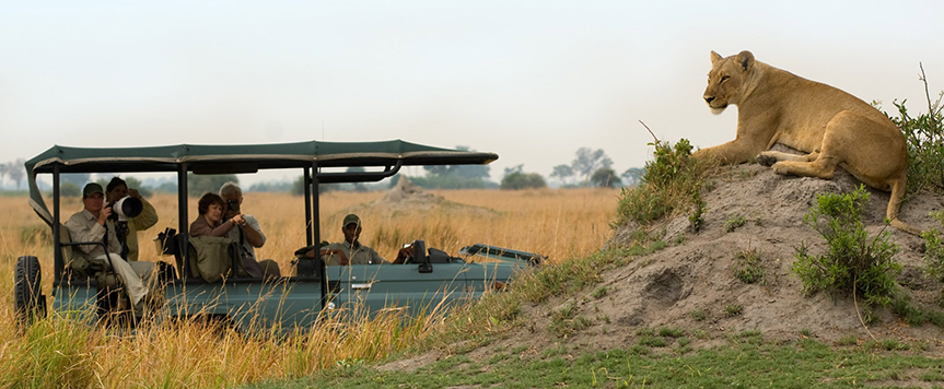Game drive à Linyanti